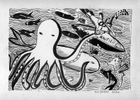 /album/fotogaleria-alejandro/nautilus-jpg1/