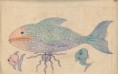 /album/fotogaleria-dibujos-de-luis-roma/dibujos021-jpg1/