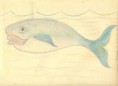 /album/fotogaleria-dibujos-de-luis-roma/pescado01-jpg/